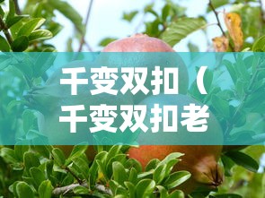 千变双扣（千变双扣老版本）