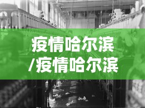 疫情哈尔滨/疫情哈尔滨理工大学分数线