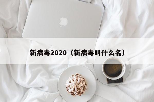 新病毒2020(新病毒叫什么名)