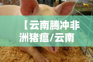 河北昨日新增6例无症状/河北昨日新增82例确诊49例无症状
