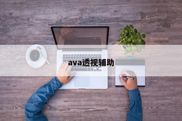 ava透视辅助