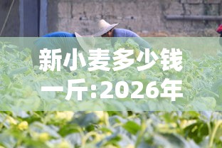 疫情的五个引爆点/疫情爆发的几个阶段