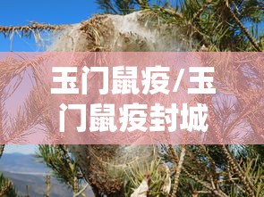 【北京冬奥会几点开幕,北京冬奥会几点开幕时间】