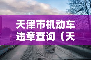天津市机动车违章查询（天津机动车违法信息查询）