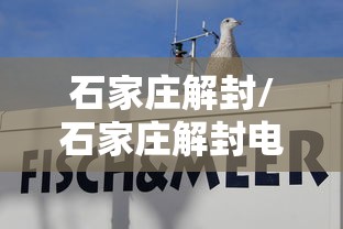 重庆疫情最新消息今天又封了:重庆疫情最新消息通知疫 重庆疫情最新消息今天又封了:重庆疫情最新消息通知疫