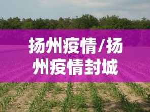 扬州疫情/扬州疫情封城起始时间 扬州疫情/扬州疫情封城起始时间