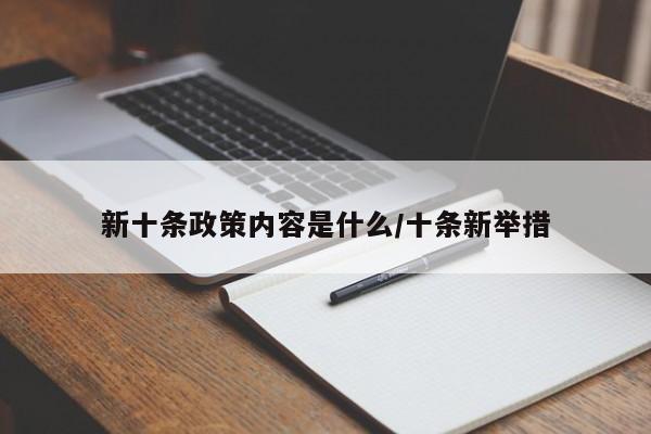 新十条政策内容是什么/十条新举措
