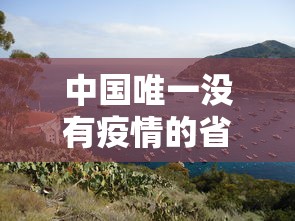 河北新增本土确诊病例12例:河北新增本土确诊病例12例详情 河北新增本土确诊病例12例:河北新增本土确诊病例12例详情